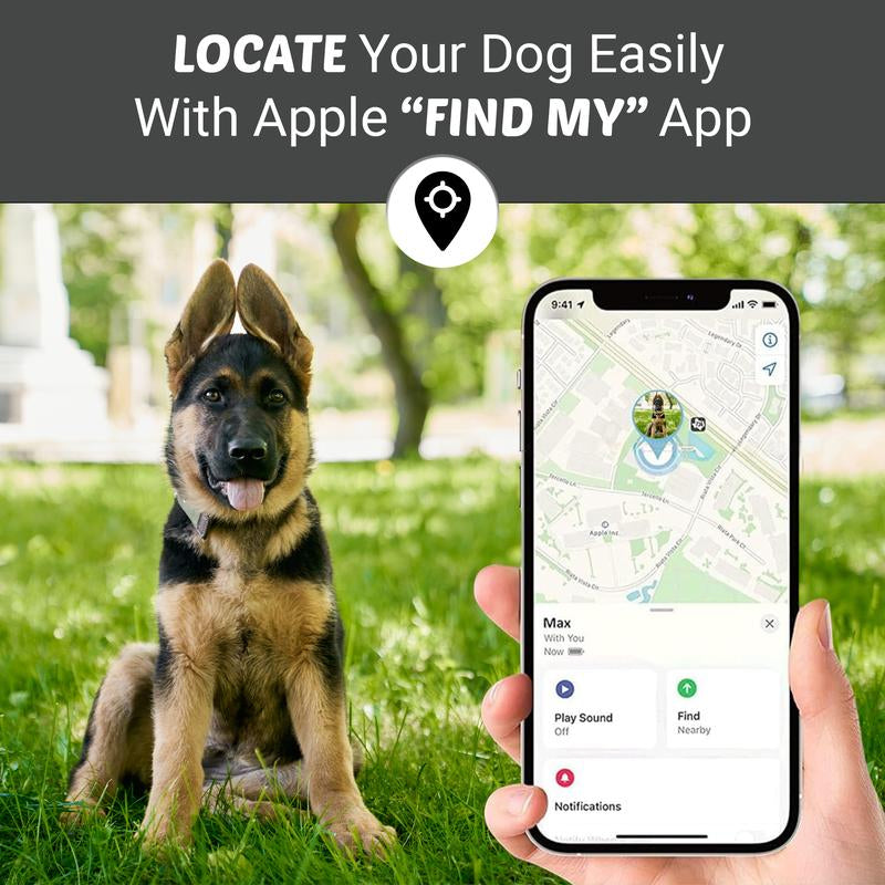 Bon Chien Leather Dog Collar with Apple Airtag Holder- Secure and Track Your Beloved Pets-Premium Pet Accessory for Dogs- Waterproof and Adjustable Dog Collar