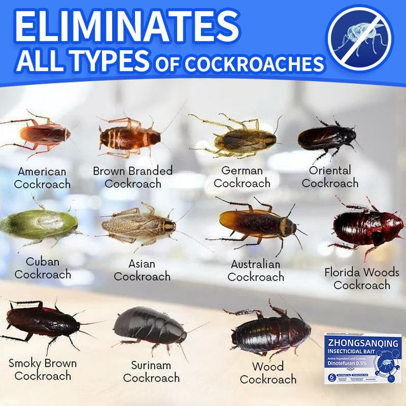 Zhongsanqing Insecticidal Bait - Small Size Roach Bait for Kitchen & Indoor Use with Dinetofuran 0.5% Active Ingredient No Magnets