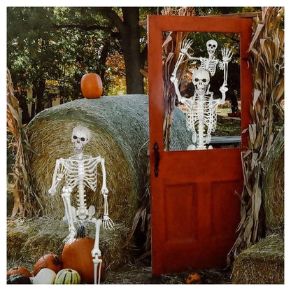 Life-Size 5.4Ft Posable Skeleton – Full Body Skeleton with Movable Joints for Spooky Halloween Decorations, Ornaments