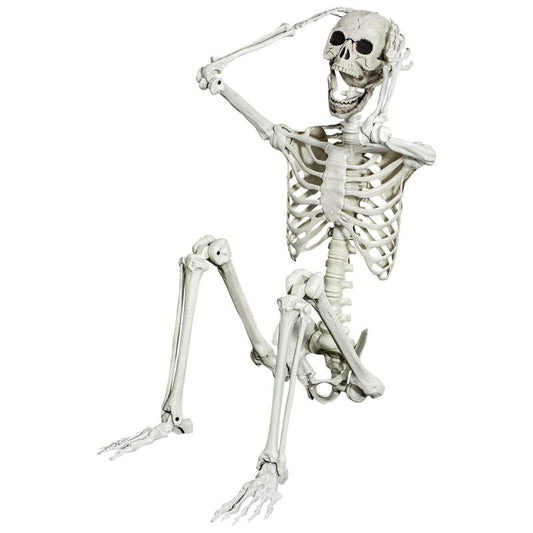 Life-Size 5.4Ft Posable Skeleton – Full Body Skeleton with Movable Joints for Spooky Halloween Decorations, Ornaments