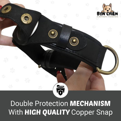 Bon Chien Leather Dog Collar with Apple Airtag Holder- Secure and Track Your Beloved Pets-Premium Pet Accessory for Dogs- Waterproof and Adjustable Dog Collar