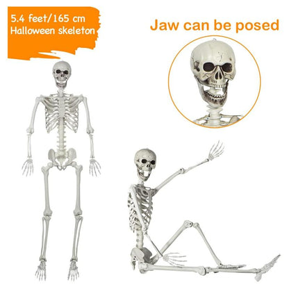 Life-Size 5.4Ft Posable Skeleton – Full Body Skeleton with Movable Joints for Spooky Halloween Decorations, Ornaments