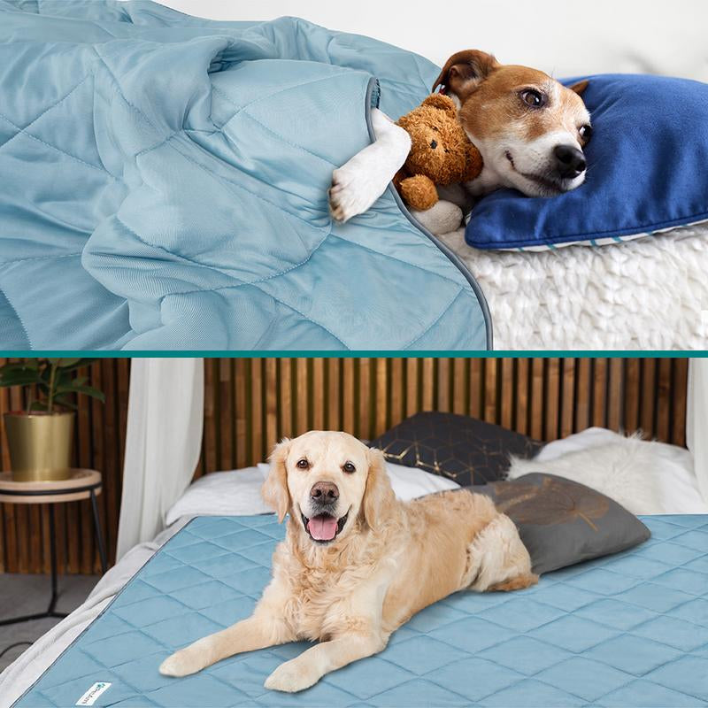 Petami Premium Cooling Dog Blanket - Reversible Fuzzy Cozy Pet Throw Blanket Bed Cover for Dogs Cats Puppies - 24X32 to 90X90 - Silky Hand Feel - Furniture Protector - Calming Comfortable - High Quality Cooling Nylon Polyester